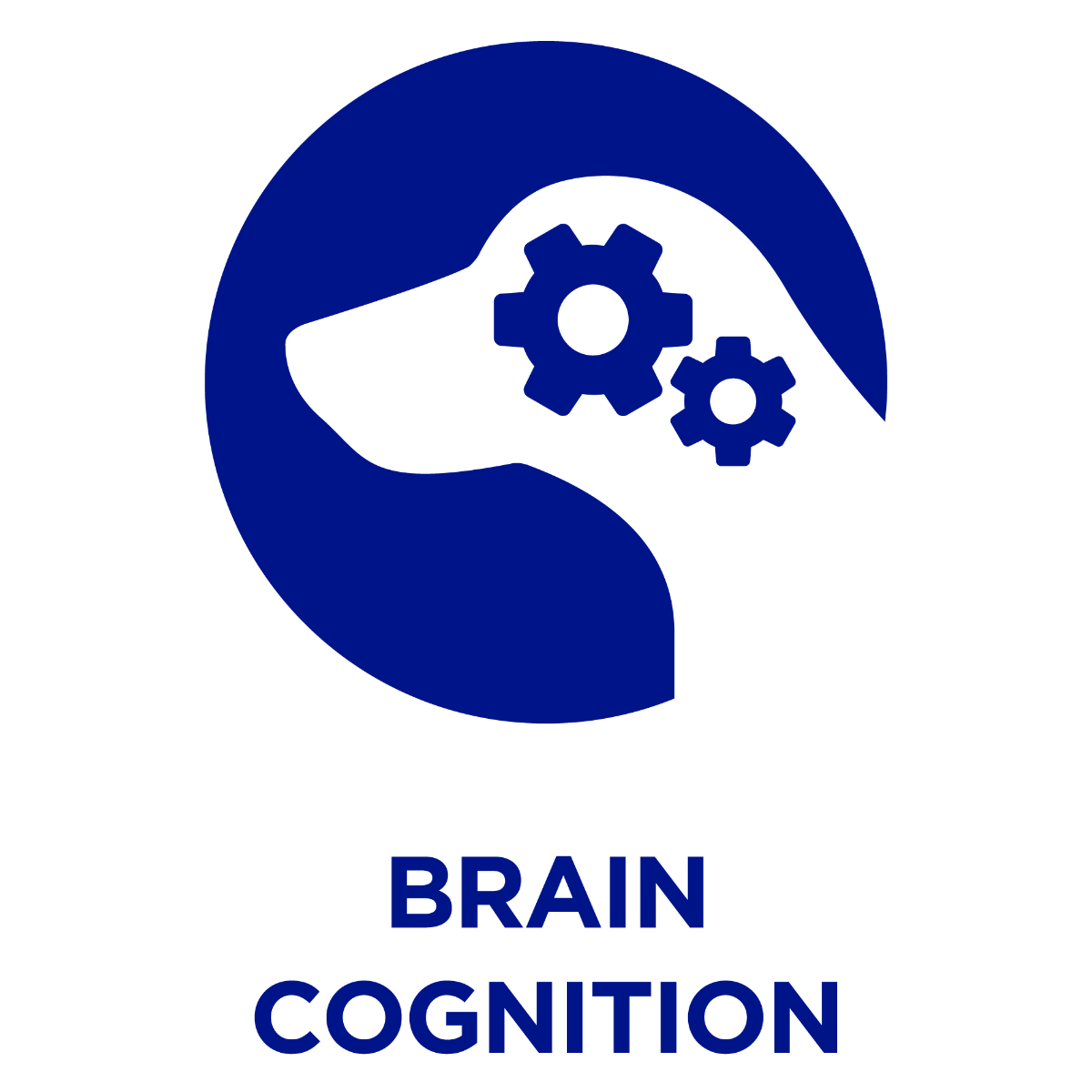 Hersenen Cognitie