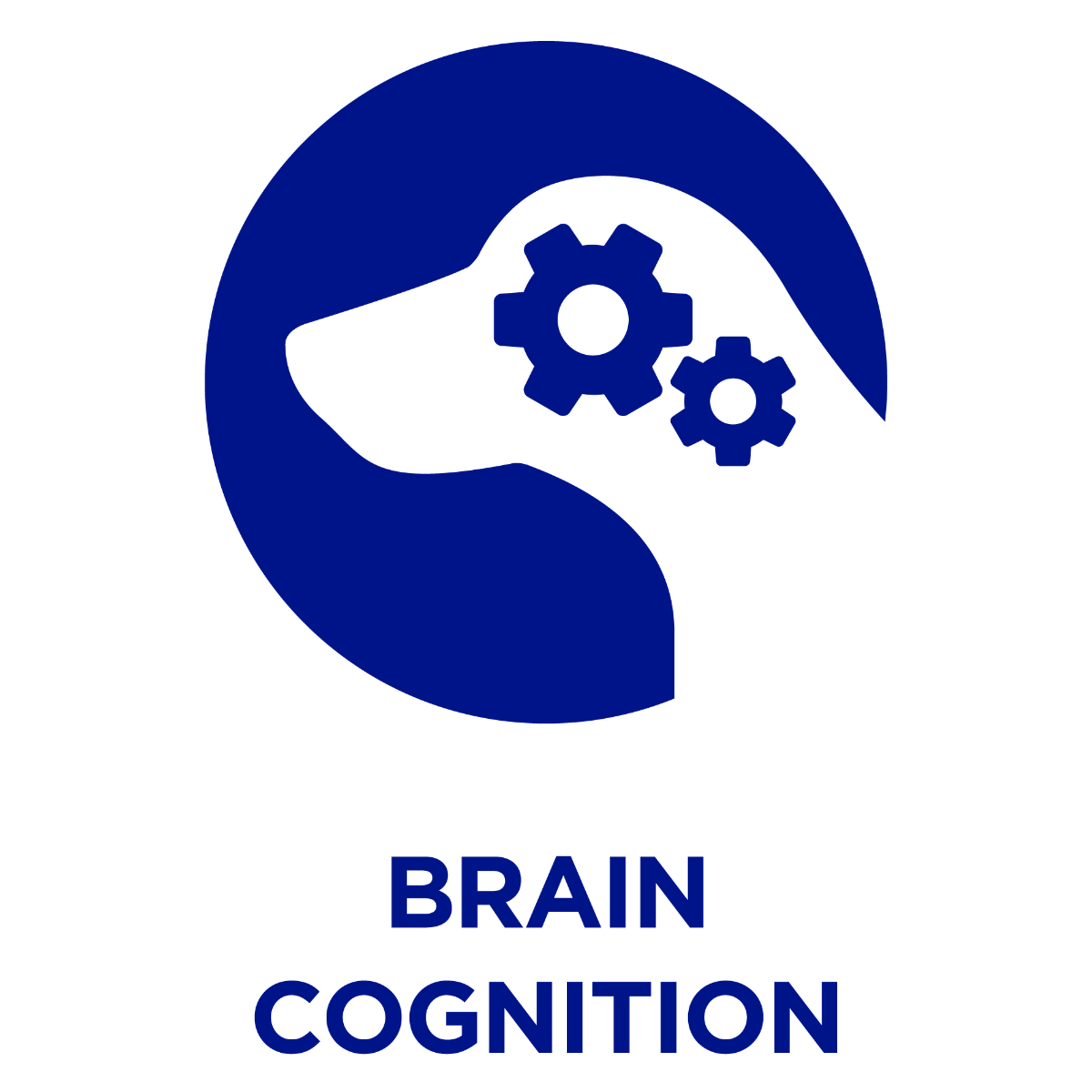 Brain Cognition